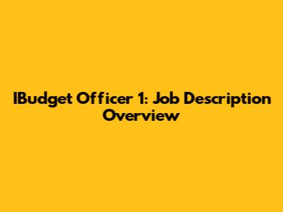 IBudget Officer 1: Job Description Overview