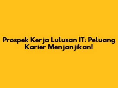 Prospek Kerja Lulusan IT: Peluang Karier Menjanjikan!